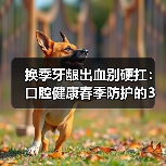 换季牙龈出血别硬扛：口腔健康春季防护的3个实用思路（图3）