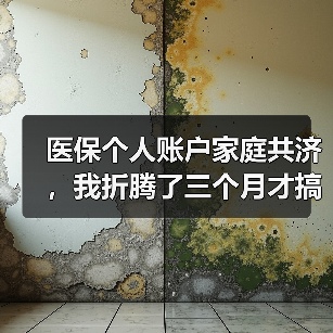 医保个人账户家庭共济,我折腾了三个月才搞明白(图1) 医保个人账户家庭共济,我折腾了三个月才搞明白(图1)