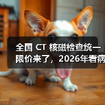 全国 CT 核磁检查统一限价来了,2026年看病能省多少钱?(图1) 全国 CT 核磁检查统一限价来了,2026年看病能省多少钱?(图1)