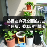 药品追溯码全面推行三个月后,我发现事情没那么简单(图4) 药品追溯码全面推行三个月后,我发现事情没那么简单(图4)