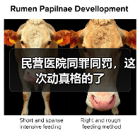 民营医院同罪同罚,这次动真格的了(图4) 民营医院同罪同罚,这次动真格的了(图4)