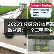 2026年分级诊疗体系新政背后：一个三甲医生的深夜吐槽（图4）