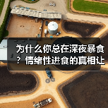 为什么你总在深夜暴食？情绪性进食的真相让我花了3年才搞懂（图2）